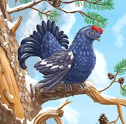 Тетерев - птицы - оригинал