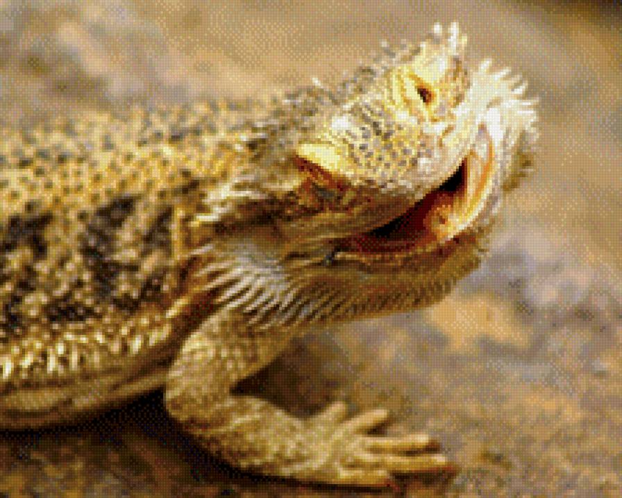 ящер ))) - ящерица, животные - предпросмотр