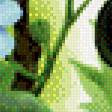 Предпросмотр схемы вышивки «смородина» (№476973)