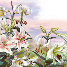 Схема вышивки «лилии»