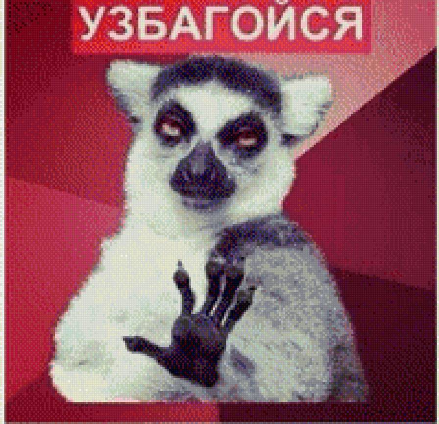 Лемур 2 - лемур, узбагойся - предпросмотр