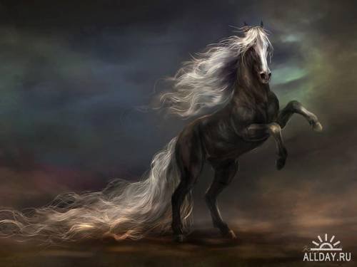 Вороной конь - лошадь, символ 2014 - оригинал