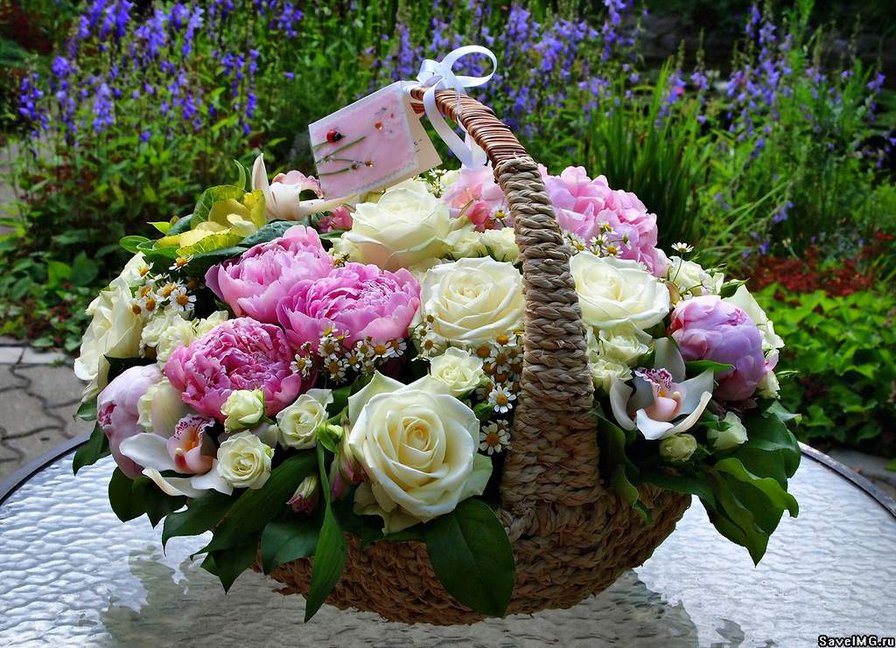 №477004 - оригинал