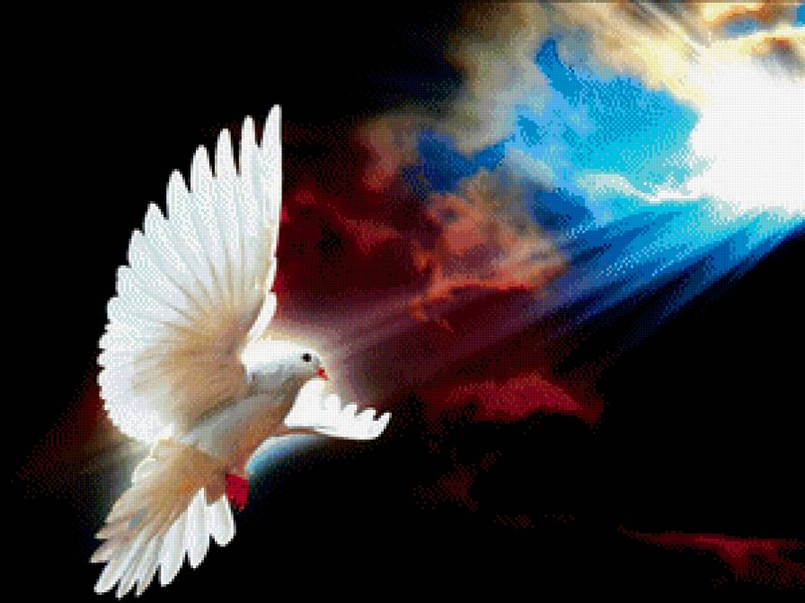 Посланник небес. - птицы, голубь, небо - предпросмотр