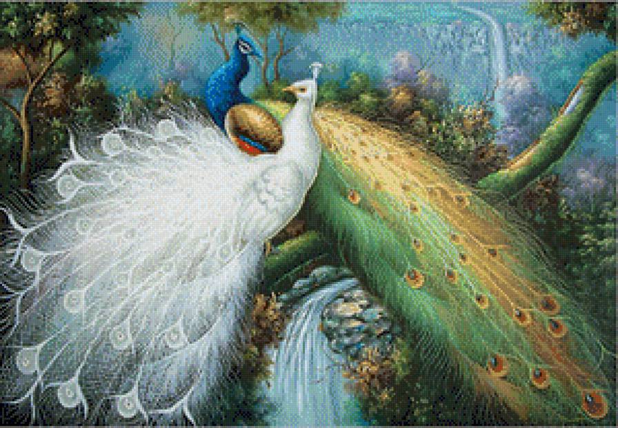 райские птицы 3 - птицы, павлины - предпросмотр