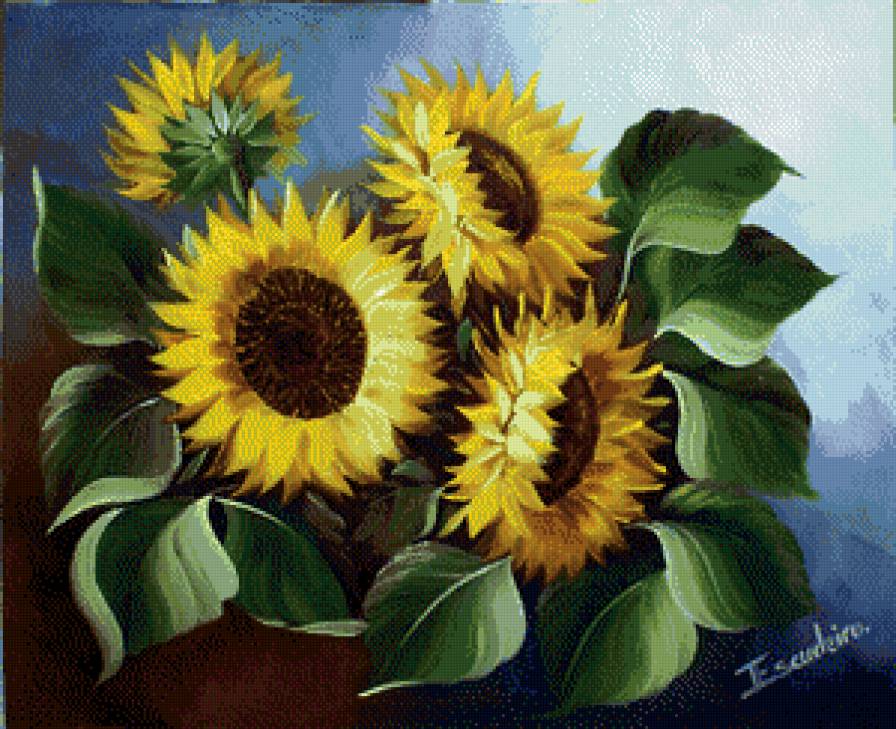 подсолнухи - цветы - предпросмотр