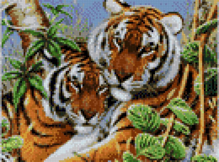 5555 - предпросмотр