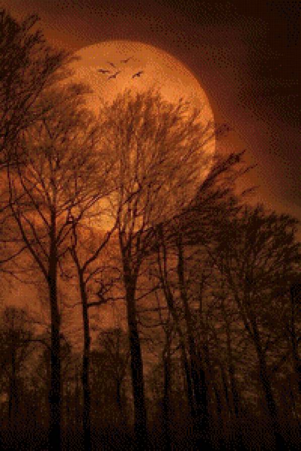 Осенняя ночь - природа, ночь, луна - предпросмотр