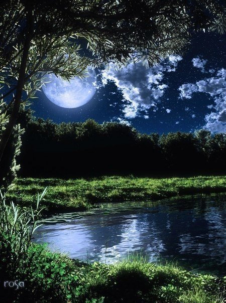 Лунный свет - ночь, природа, луна - оригинал