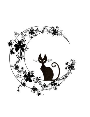 киса - домашние животные, черно белое, месяц, кошки - оригинал