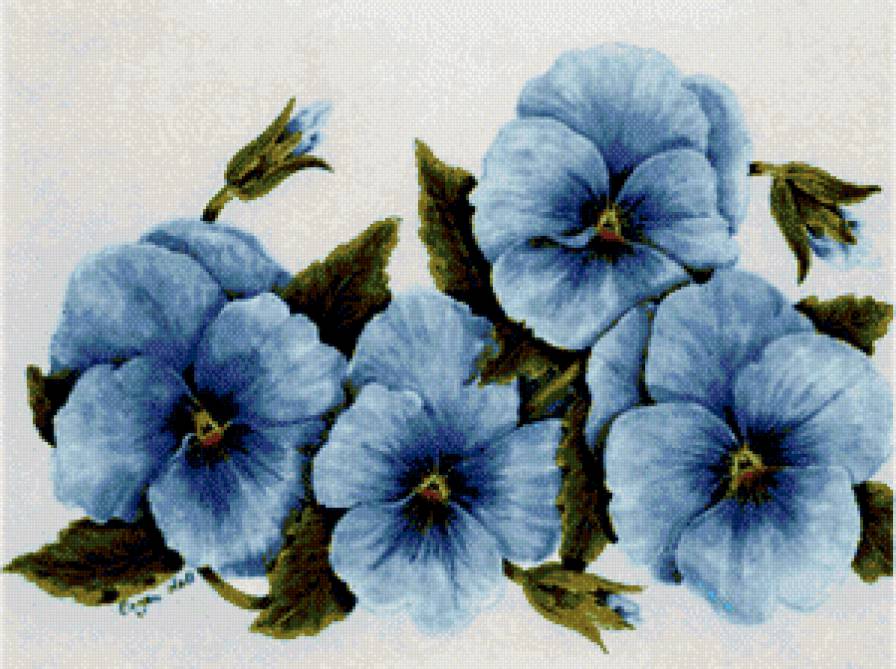 Анютины глазки - цветы, анютины глазки, букет - предпросмотр