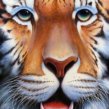 Схема вышивки «Тигр»