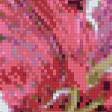 Предпросмотр схемы вышивки «Лилия с ракушкой» (№478338)