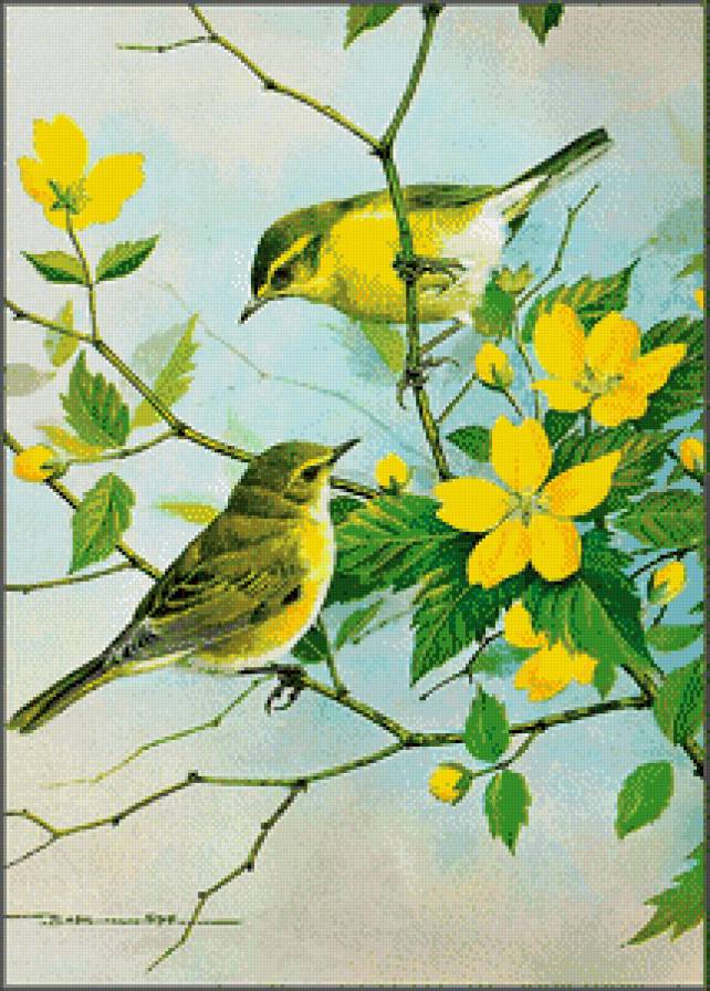Серия "Птицы" - птицы, цветы - предпросмотр