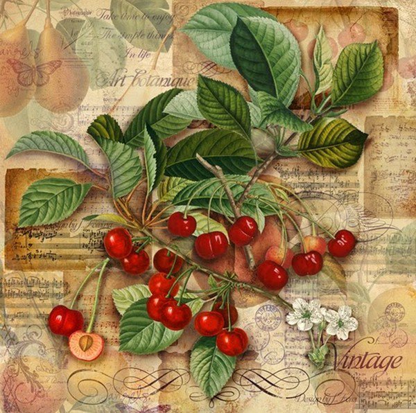 вишни - кухня, фрукты - оригинал