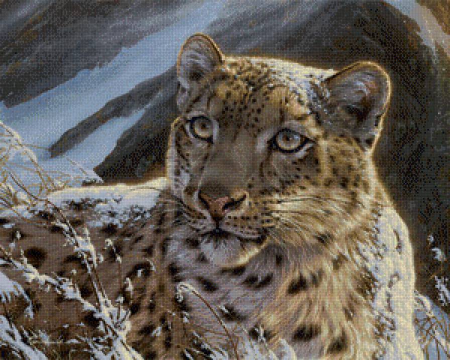 Серия "Большие кошки" - снежный барс, зима, кошки, ирбис, животные - предпросмотр