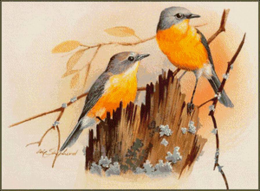 Серия "Птицы" - птицы, осень - предпросмотр