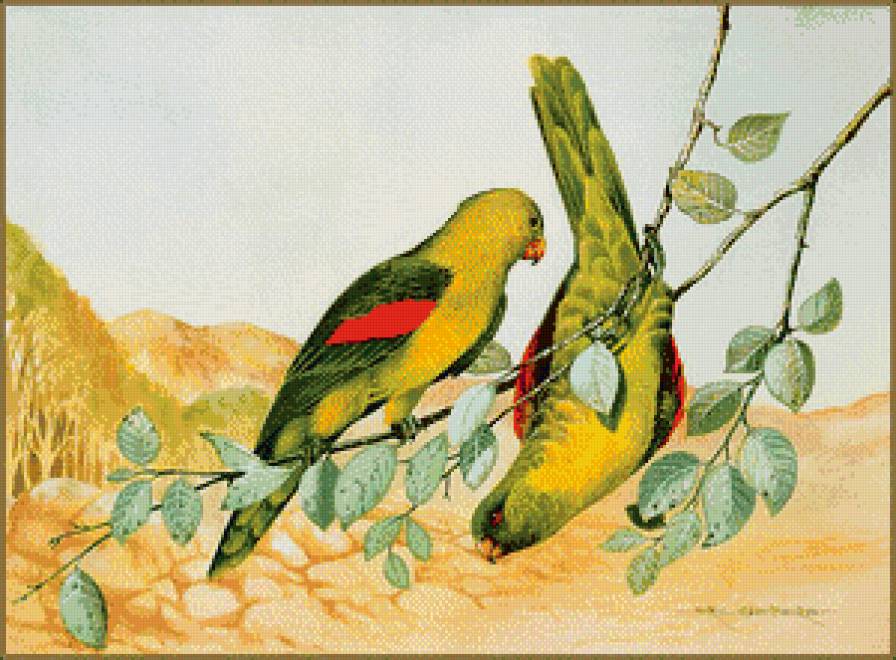 Серия "Птицы" - попугаи, птицы - предпросмотр