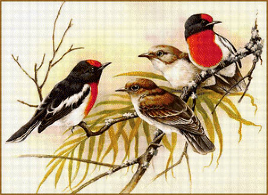 Серия "Птицы" - птицы - предпросмотр