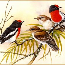 Схема вышивки «Серия "Птицы"»