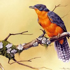 Схема вышивки «Серия "Птицы"»