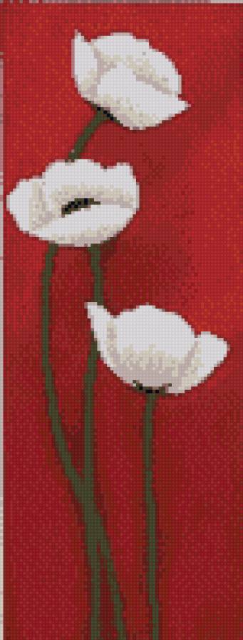 Белые маки на красном фоне - на красном, маки, белые - предпросмотр