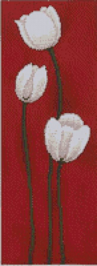 Белые тюльпаны на красном фоне - на красном, белые, тюльпаны - предпросмотр