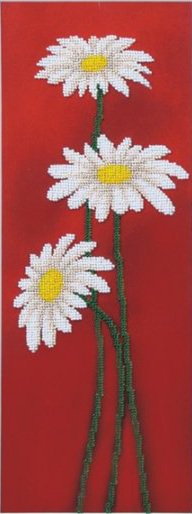 Белые ромашки на красном фоне - белые, ромашки, на красном - оригинал
