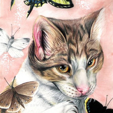 Схема вышивки «кот и бабочки»