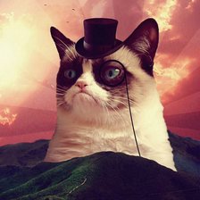 Схема вышивки «Котэ мир»