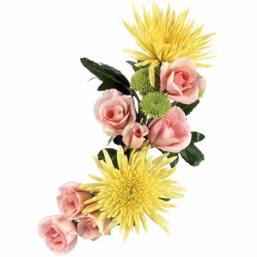 Роза - хризантема, букет, розы, цветы - оригинал