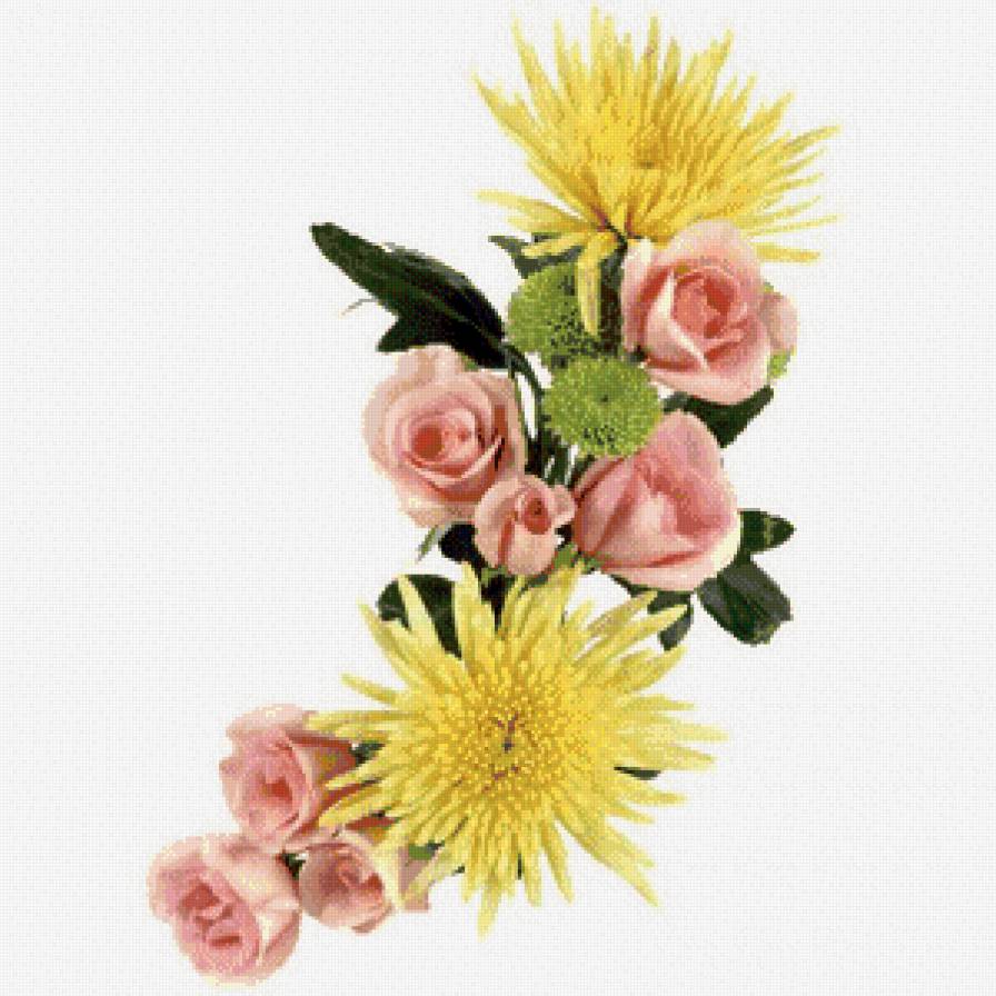 Роза - цветы, хризантема, букет, розы - предпросмотр