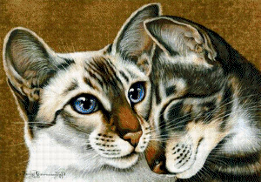 Любовь.. - кошка, животные, кот - предпросмотр