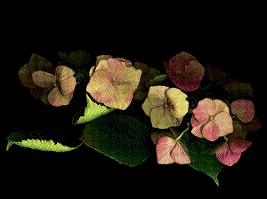 Цветы - на черном, цветы - предпросмотр