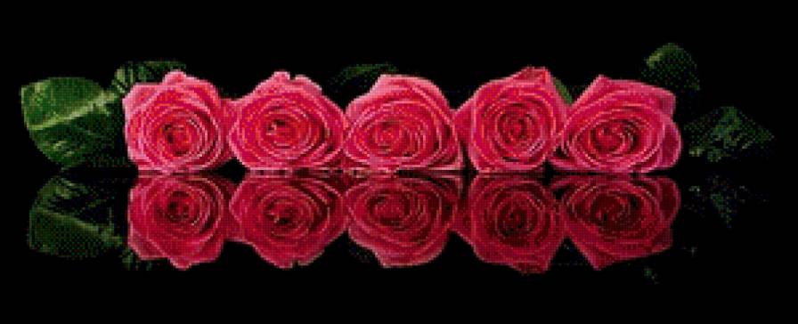 Розы - цветы, на черном - предпросмотр