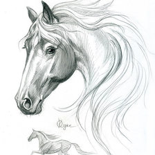 Оригинал схемы вышивки «Белая лошадь» (№478976)
