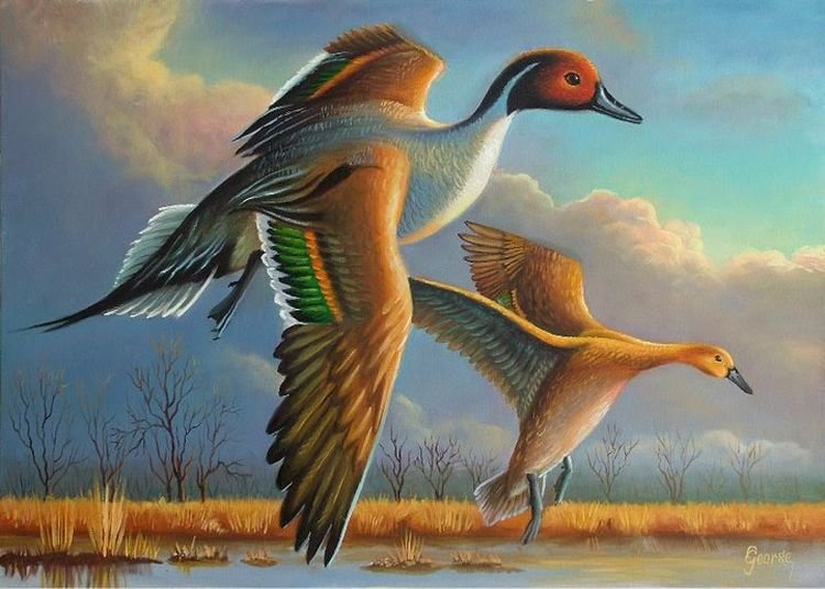 №478994 - оригинал