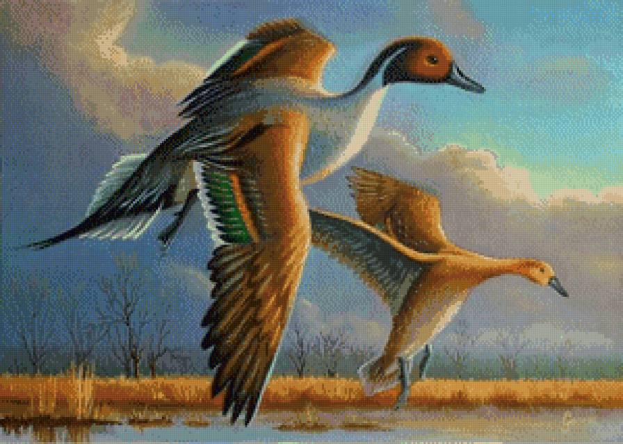 №478994 - предпросмотр