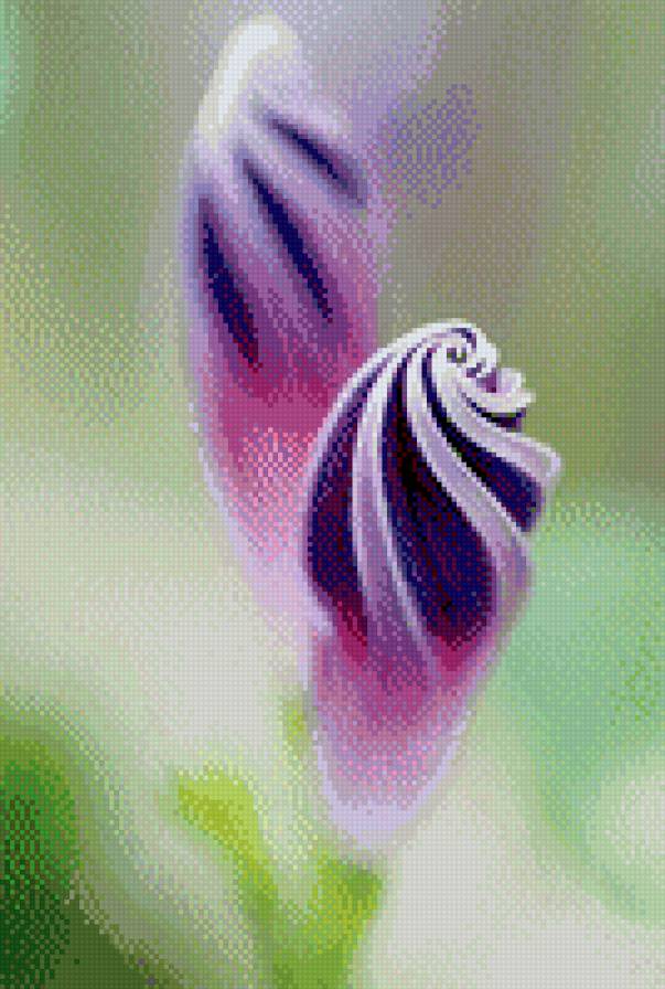 №479056 - предпросмотр