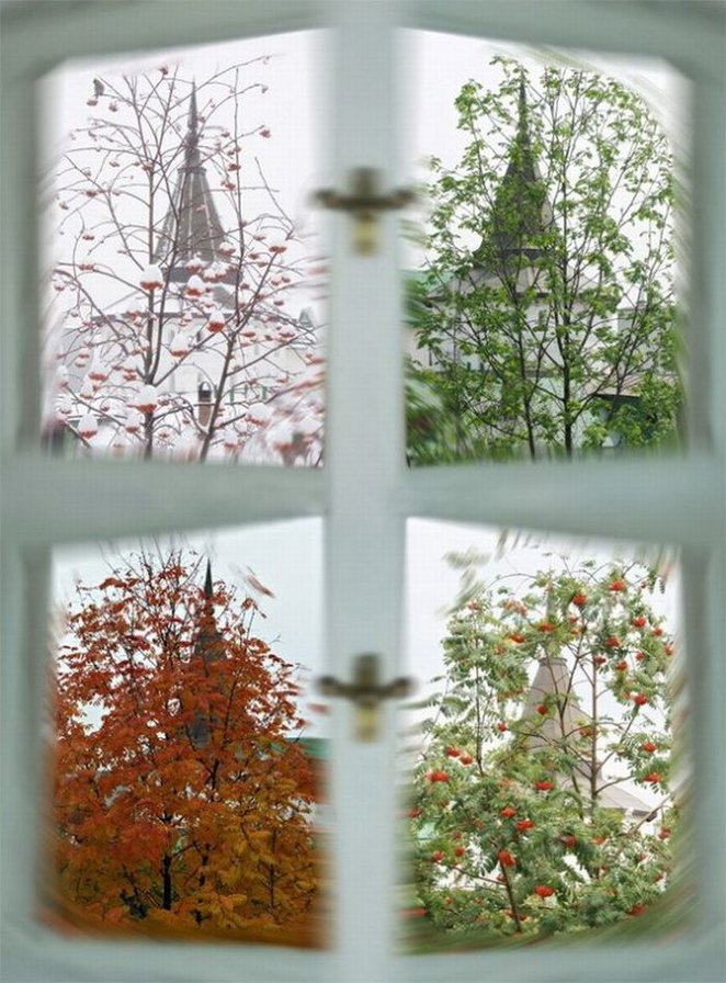 №479071 - оригинал