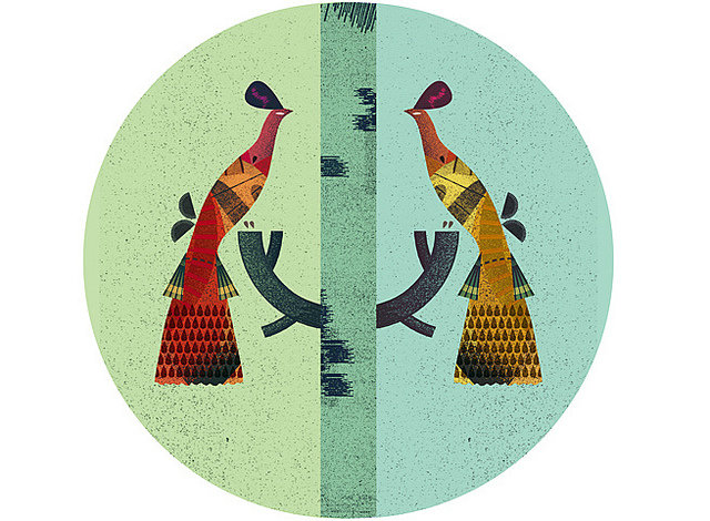 Птички - картинка, птицы, павлин - оригинал