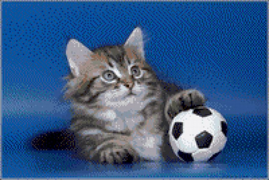 №479208 - предпросмотр