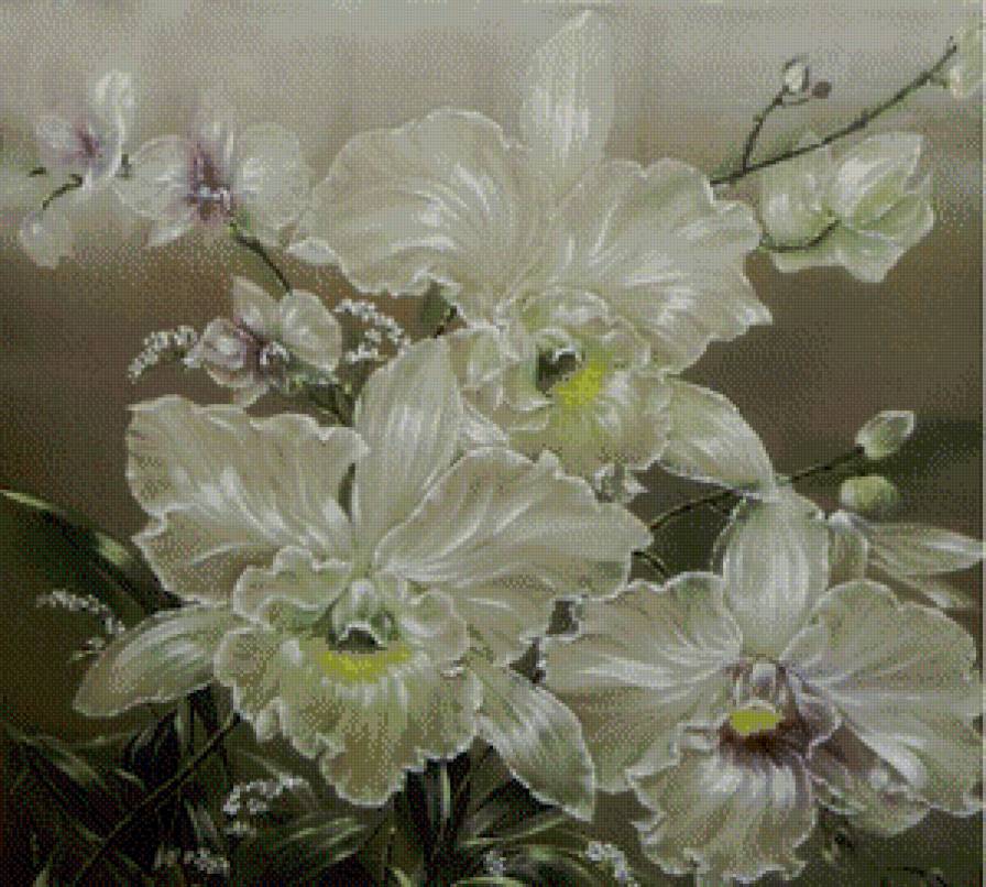 орхидея - орхидея - предпросмотр