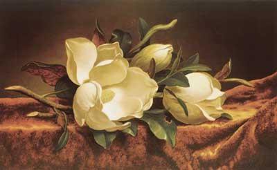 №479258 - оригинал