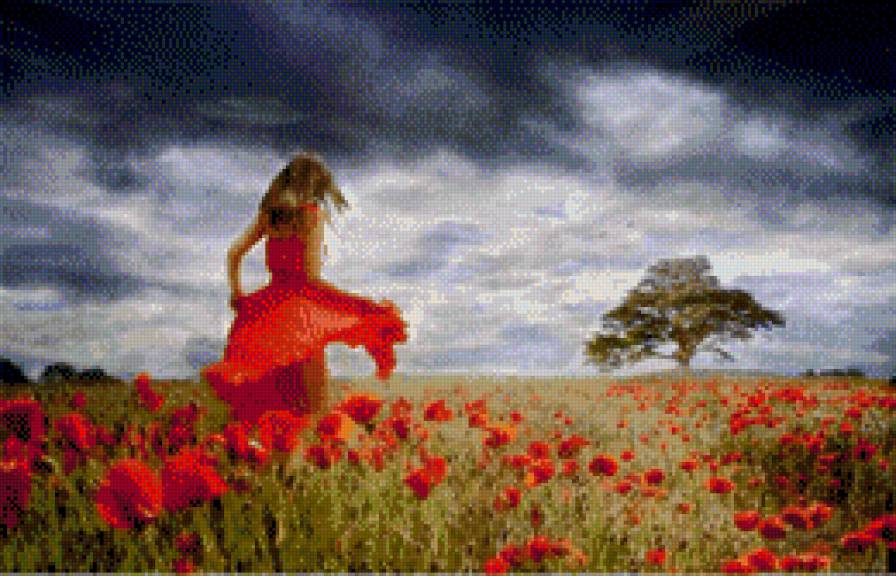 Маковое поле - маки, лето, маковое поле, природа, юность, девушка - предпросмотр