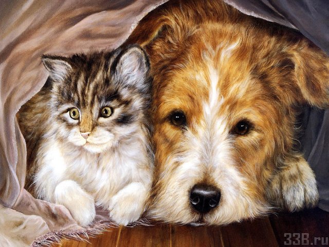 друзья - оригинал