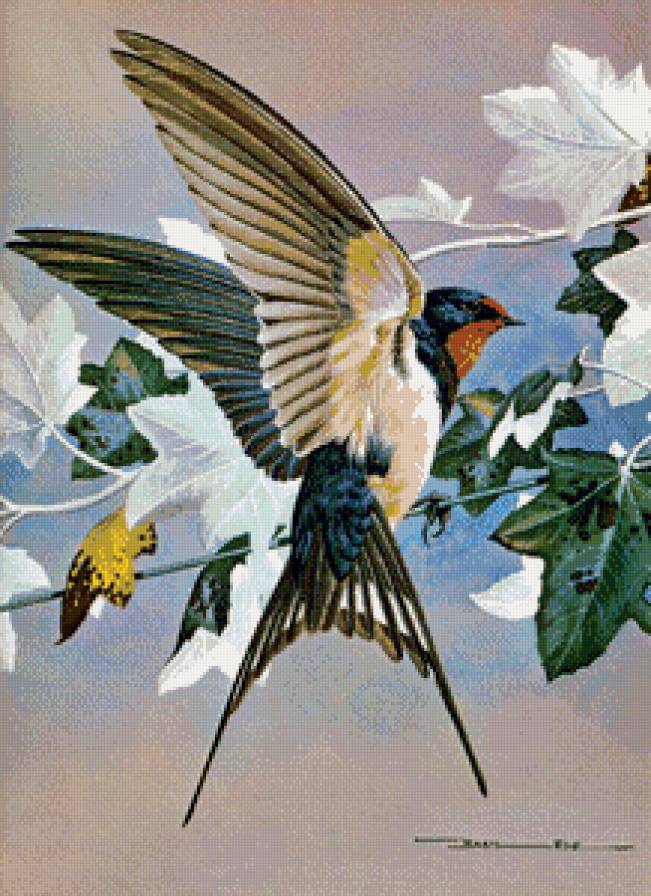Серия "Птицы" - ласточки, птицы, цветы - предпросмотр
