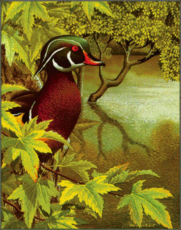 Серия "Птицы" - утки, река, птицы - предпросмотр