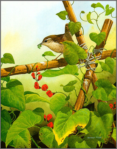 Серия "Птицы" - лето, птицы - оригинал