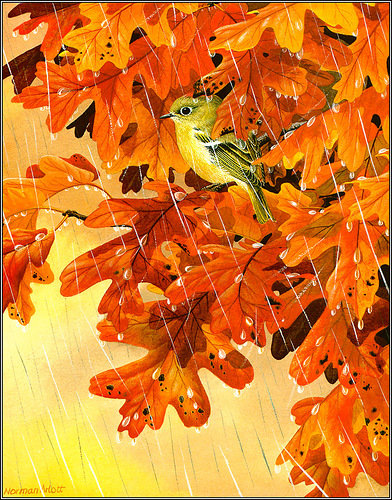 Серия "Птицы" - дождь, птиц, осень - оригинал